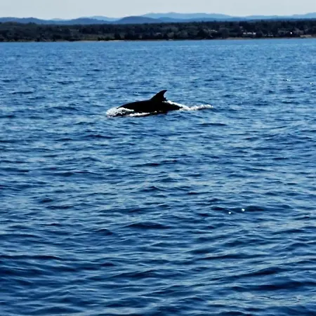 Boat & Breakfast بوتيل