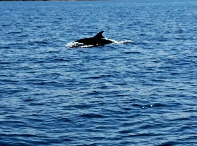 Boat & Breakfast 보트호텔